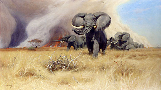 Elefanten flchten vor dem Steppenbrand