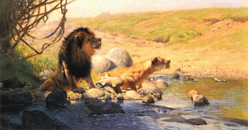 Lwe und Lwin an einem Bach