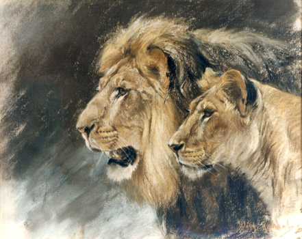 Portrait eines Lwenpaares