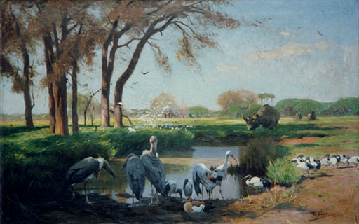 Morgen am afrikanischen Wildtmpel. (Das Paradies) 