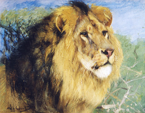 Kopf eines Mhnenlwen