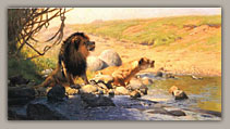 Bild 01